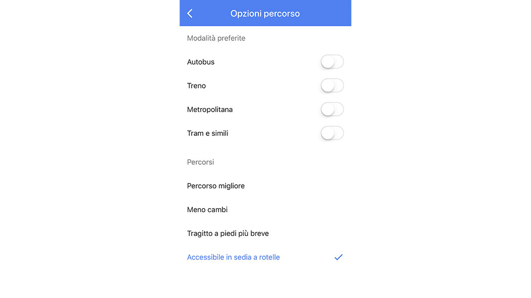 accessibilità google maps